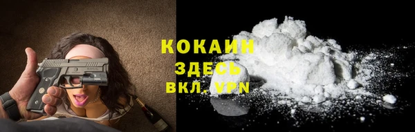 дмт Белокуриха