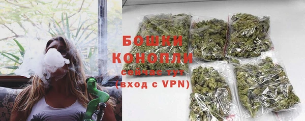 дмт Белокуриха